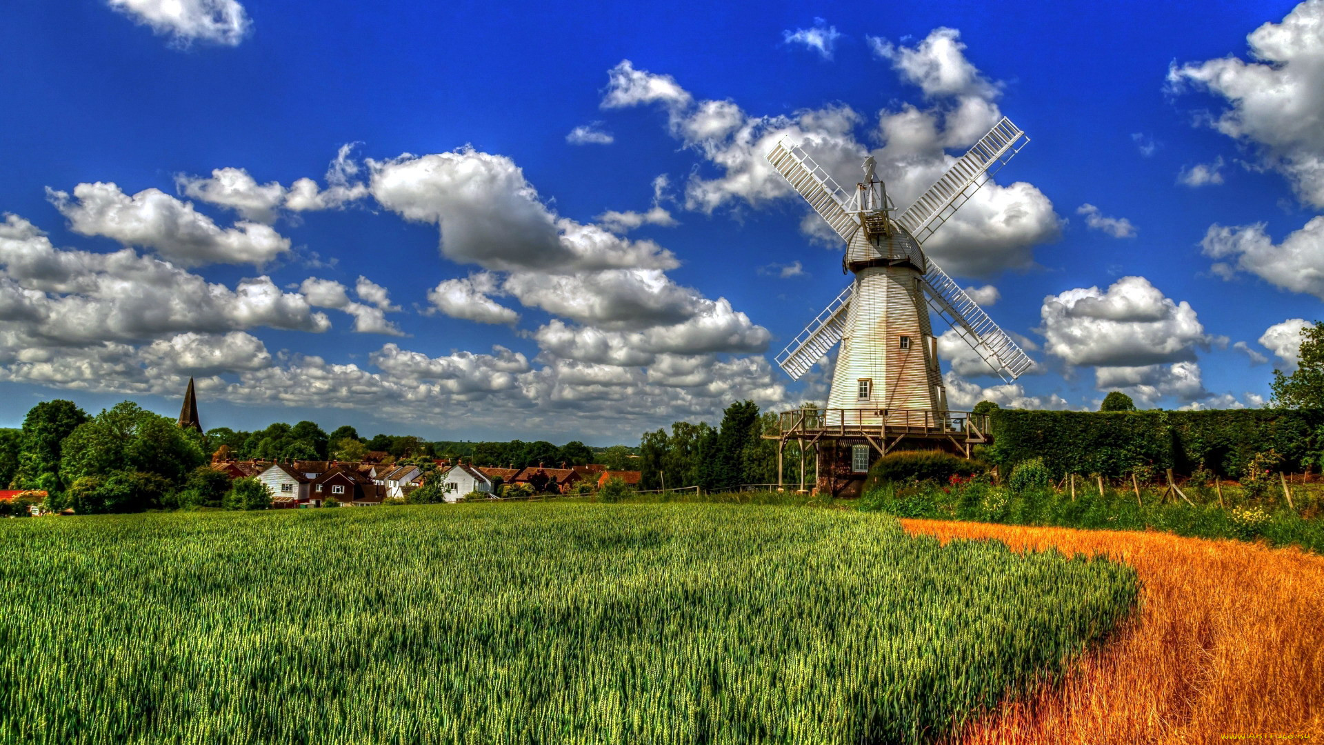 kent, england, , 